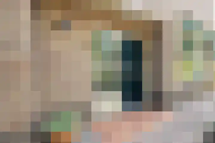 de Beuk 95 Didam thumbnail 30