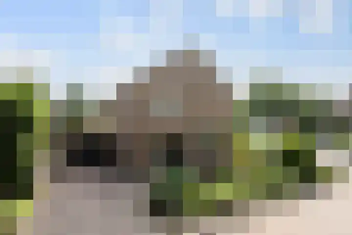 de Beuk 95 Didam thumbnail 42