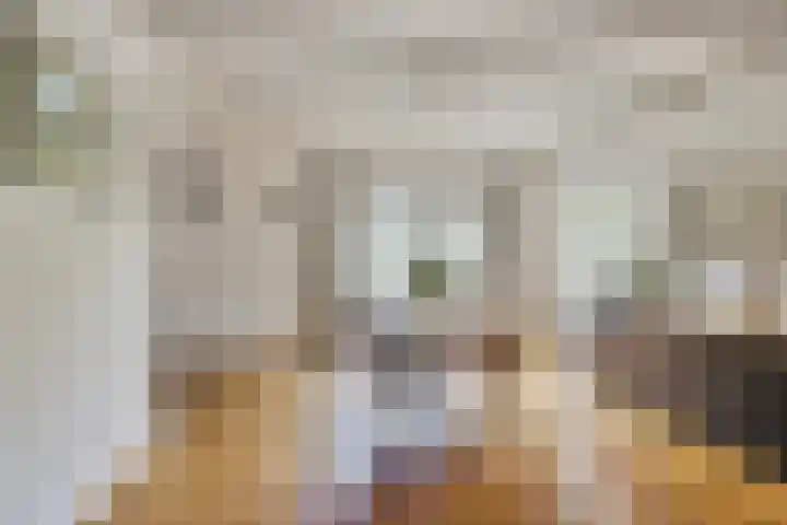 de Beuk 95 Didam thumbnail 7