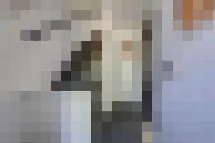 De Beuken 12 Zevenaar thumbnail 13