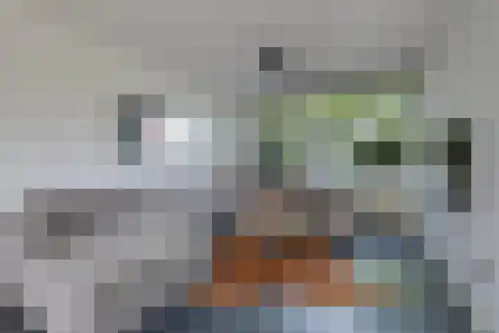 De Beuken 12 Zevenaar thumbnail 14