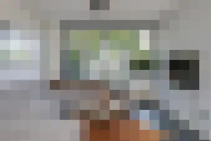 De Beuken 12 Zevenaar thumbnail 15