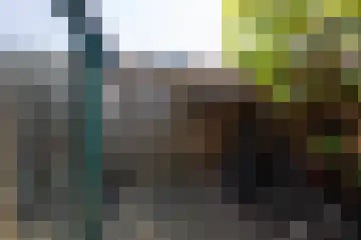 De Beuken 12 Zevenaar thumbnail 58