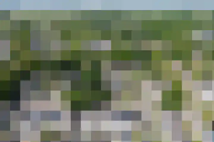 De Beuken 12 Zevenaar thumbnail 61