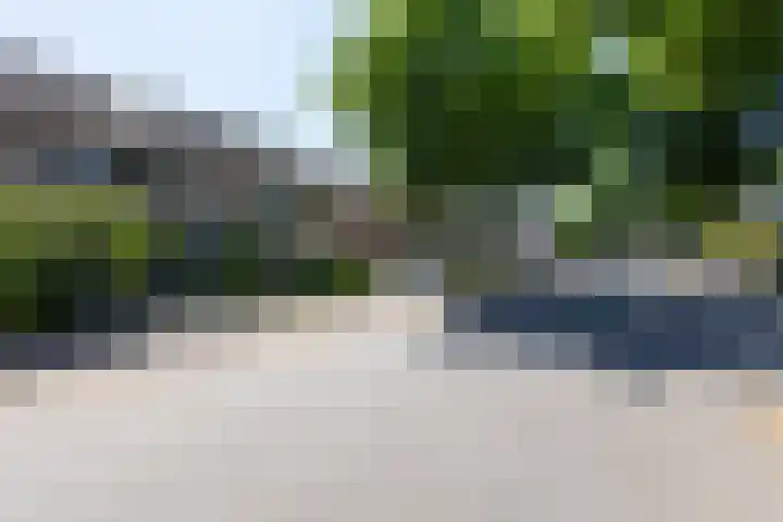 De Beuken 12 Zevenaar thumbnail 7