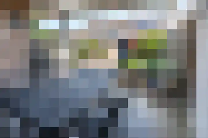 De Beukums 154 Boxtel thumbnail 7