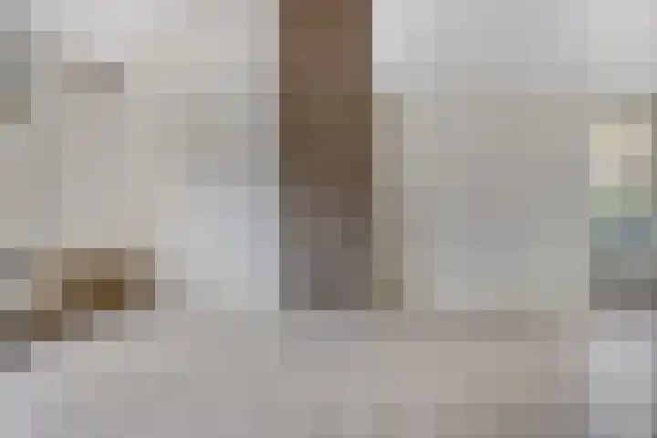 De Beukums 28 Boxtel thumbnail 15