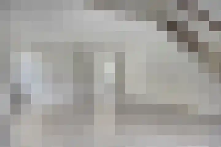 De Beukums 28 Boxtel thumbnail 17
