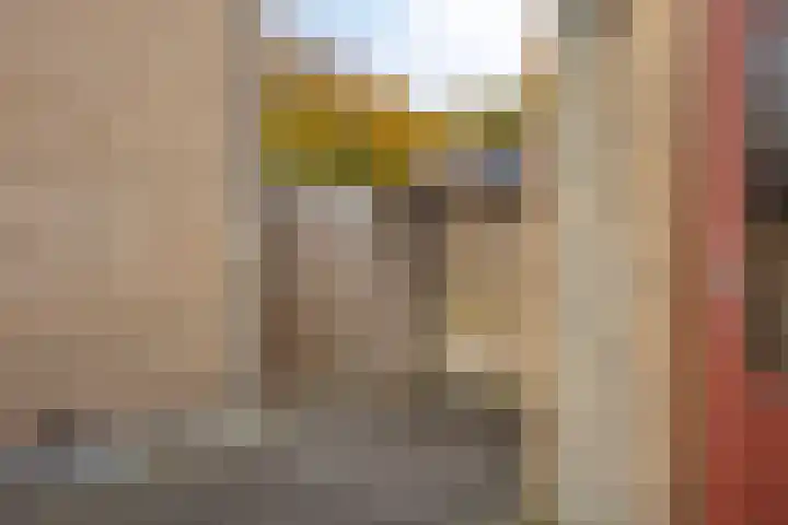 De Beukums 28 Boxtel thumbnail 37