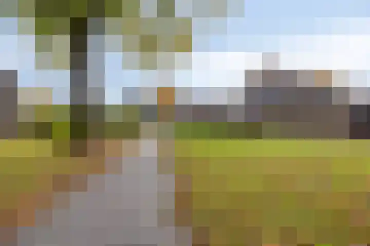 De Beukums 28 Boxtel thumbnail 40