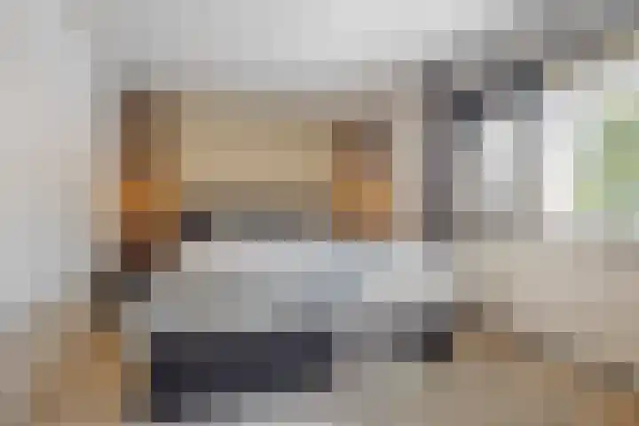 De Beukums 62 Boxtel thumbnail 30