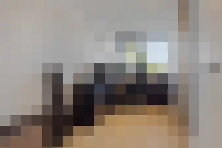 De Beukums 62 Boxtel thumbnail 34