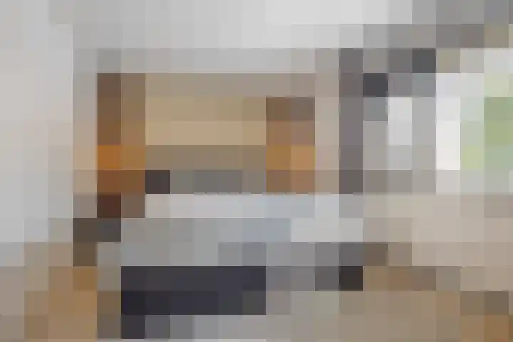 De Beukums 62 Boxtel thumbnail 5