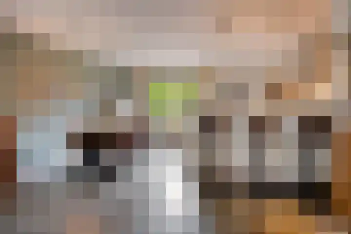 De Beukums 68 Boxtel thumbnail 12