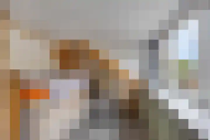 De Beukums 68 Boxtel thumbnail 24