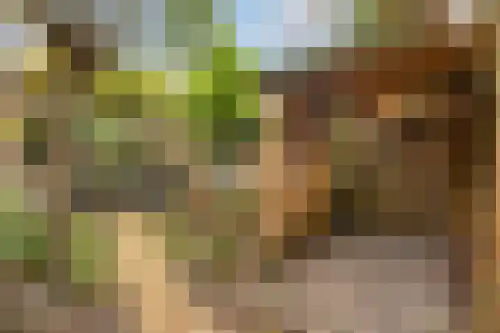 De Beukums 68 Boxtel thumbnail 30