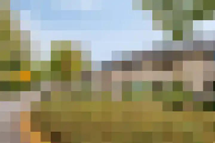 De Beukums 68 Boxtel thumbnail 31