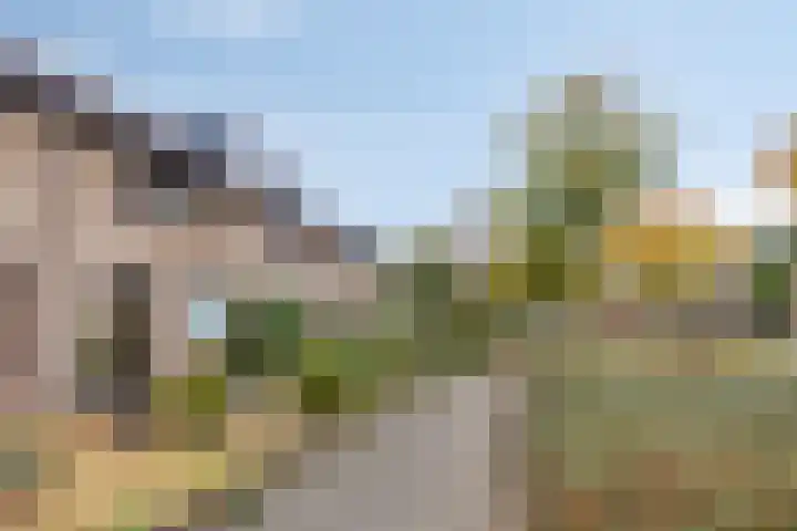 De Beukums 68 Boxtel thumbnail 32