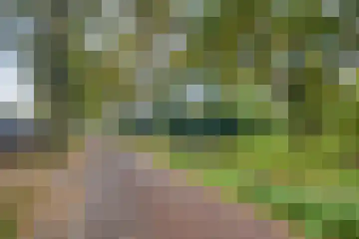 De Beukums 68 Boxtel thumbnail 33