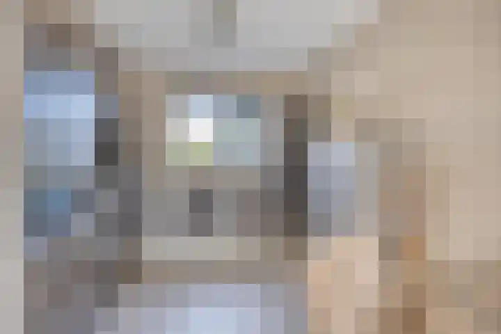 De Beumer 30 Denekamp thumbnail 10