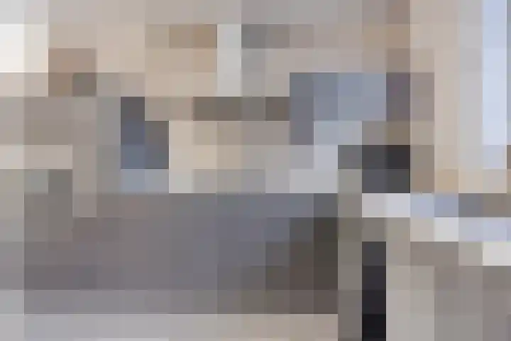 De Beumer 30 Denekamp thumbnail 11