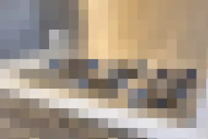 De Beumer 30 Denekamp thumbnail 12