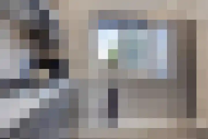 De Beumer 30 Denekamp thumbnail 13