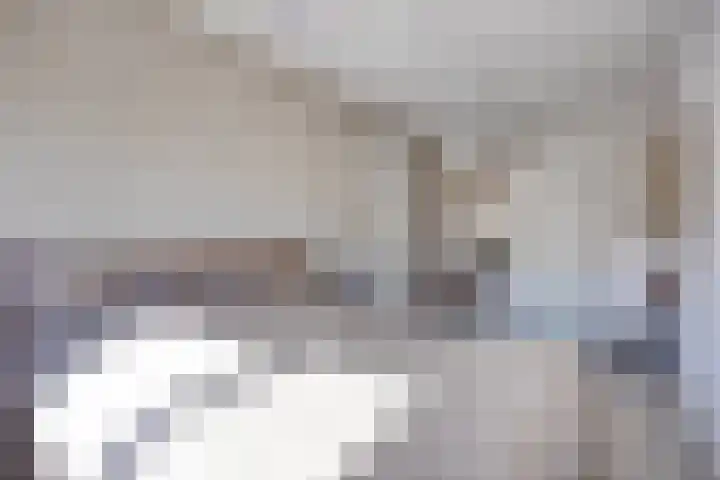 De Beumer 30 Denekamp thumbnail 16