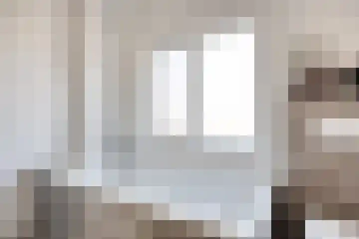 De Beumer 30 Denekamp thumbnail 18