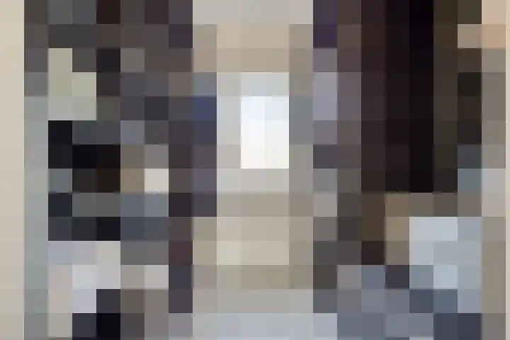 De Beumer 30 Denekamp thumbnail 21