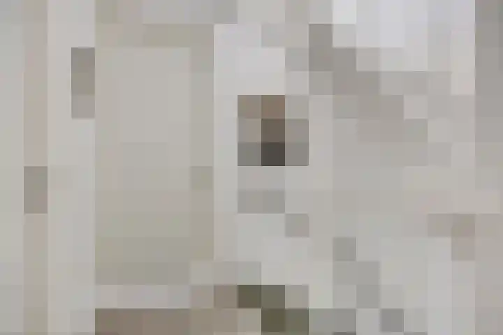 De Beumer 30 Denekamp thumbnail 22