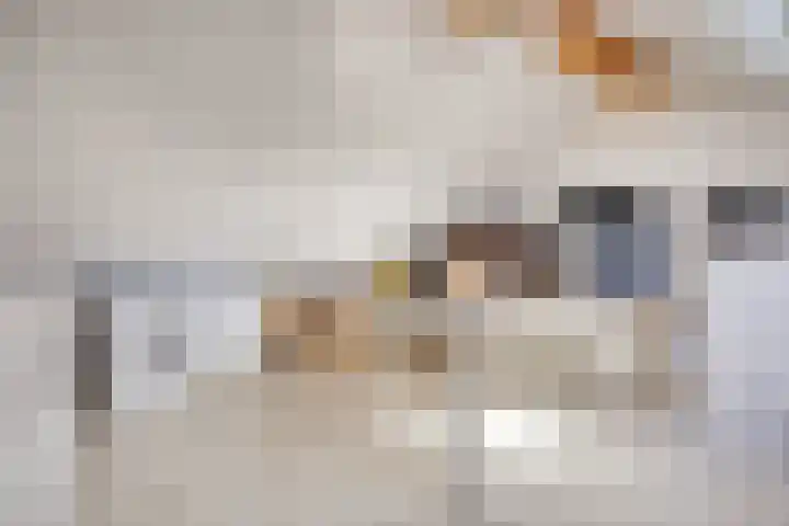 De Beumer 30 Denekamp thumbnail 23