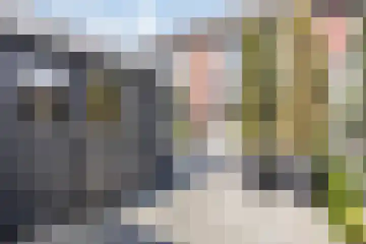 De Beumer 30 Denekamp thumbnail 27