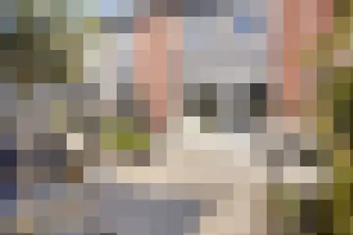 De Beumer 30 Denekamp thumbnail 28