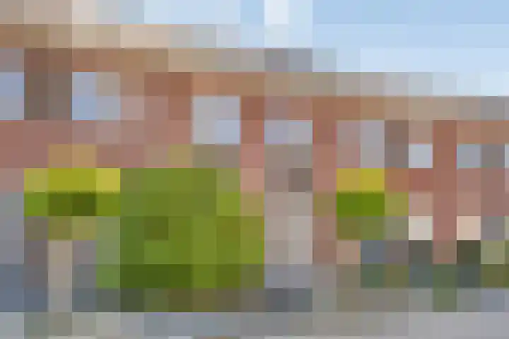De Beumer 30 Denekamp thumbnail 29