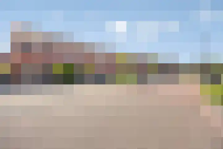 De Beumer 30 Denekamp thumbnail 30