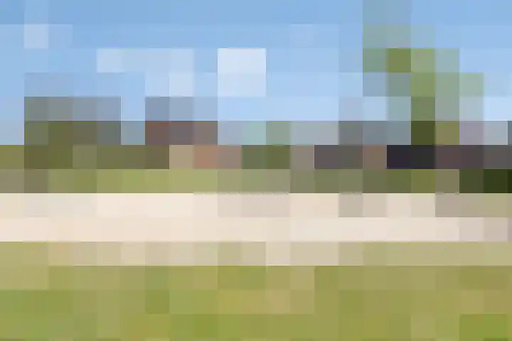 De Beumer 30 Denekamp thumbnail 31