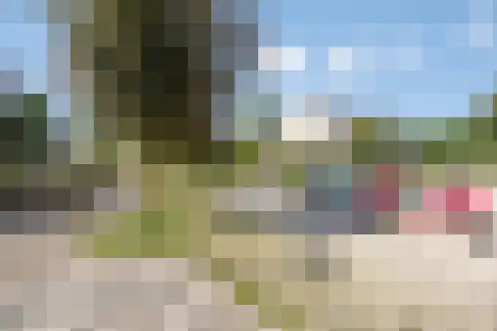 De Beumer 30 Denekamp thumbnail 32