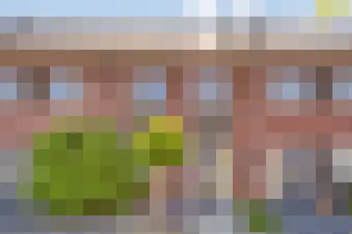 De Beumer 30 Denekamp thumbnail 37