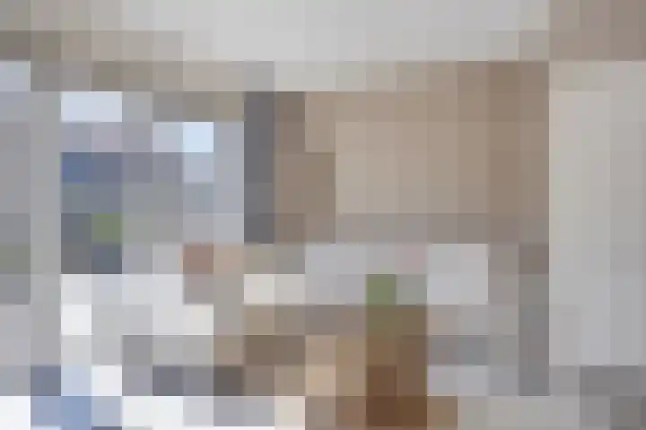 De Beumer 30 Denekamp thumbnail 4