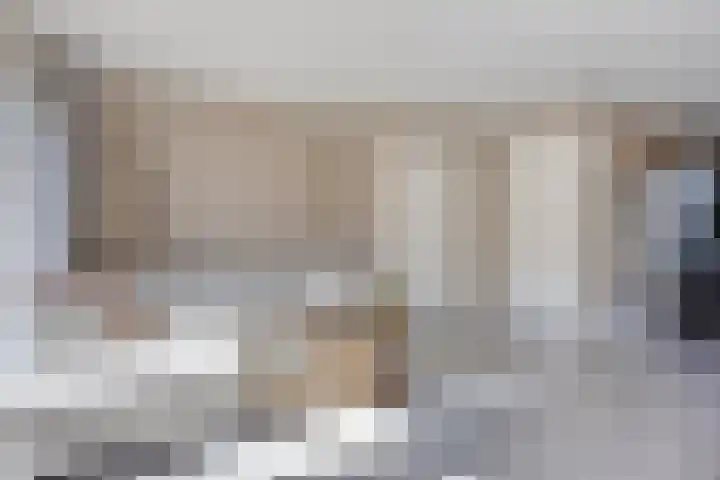De Beumer 30 Denekamp thumbnail 5