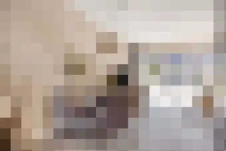 De Beumer 30 Denekamp thumbnail 6