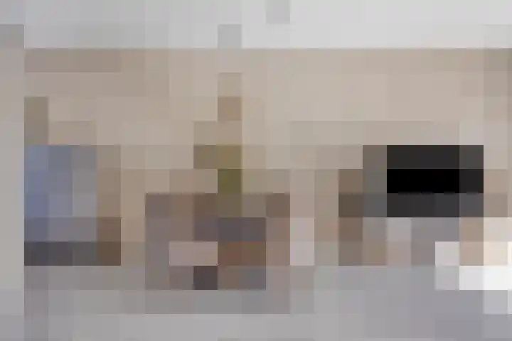 De Beumer 30 Denekamp thumbnail 8