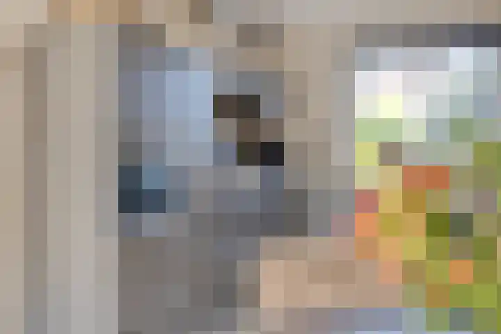 De Beumer 30 Denekamp thumbnail 9