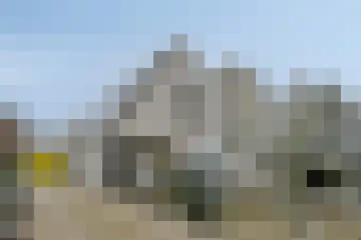 De Biezen 28 Venhorst