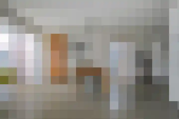 De Biezen 28 Venhorst thumbnail 15