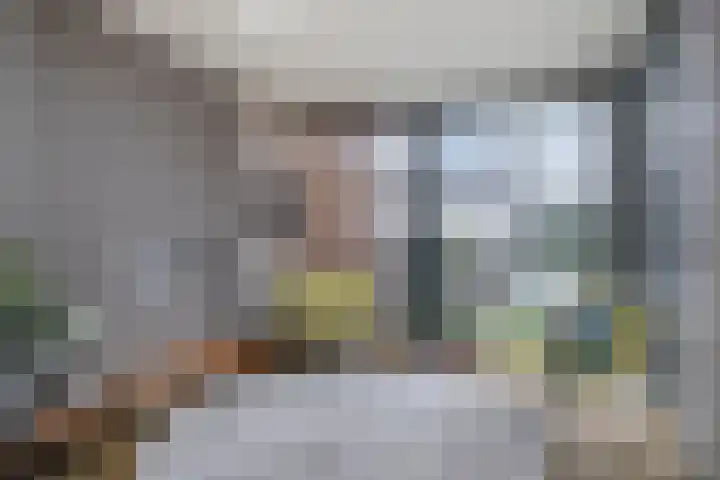 De Biezen 28 Venhorst thumbnail 16