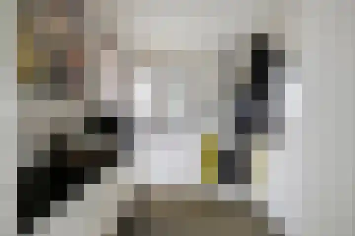 De Biezen 28 Venhorst thumbnail 20