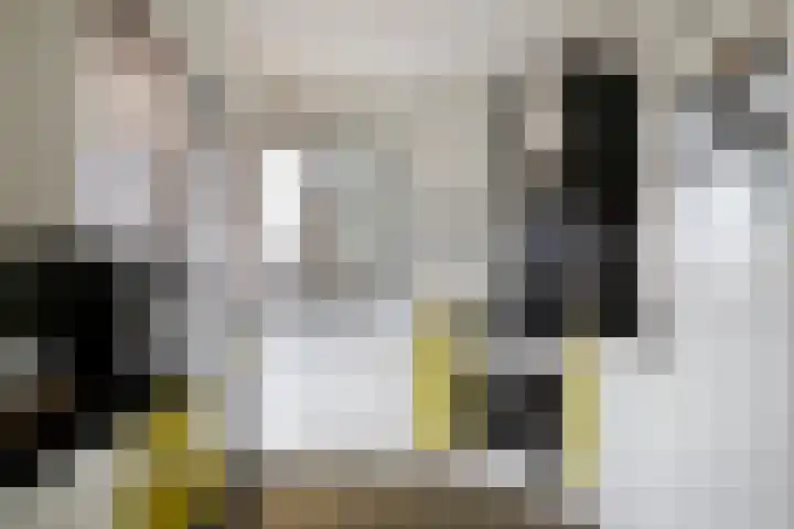 De Biezen 28 Venhorst thumbnail 21