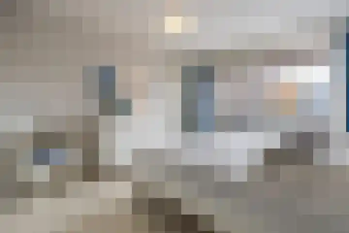 De Biezen 28 Venhorst thumbnail 22